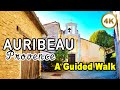 Auribeau FRANCE 🇫🇷 A Guided Walk 🤩 Mountain Village in Provence [4k]
