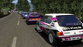 Subida campeonato Santa Maria de Oia. Galicia Pontevedra. Manuel Mora #peugeot 205 #gti ARS