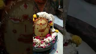 हरी ॐ मे ओम समाया है मेरा भोला नगर में आया है trendingvideo harharshambhu newbhajan