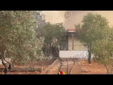 enikos.gr - Αναζωπύρωση φωτιάς στην Μάνδρα