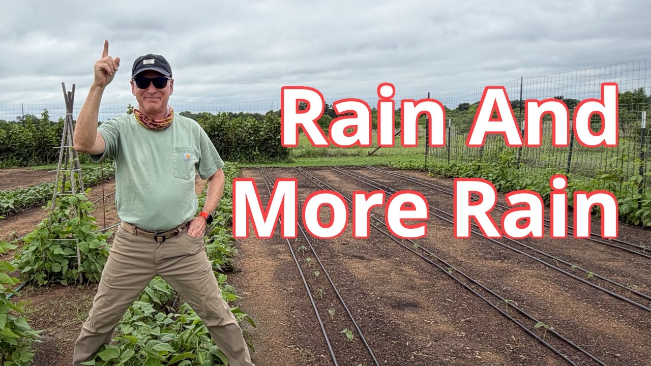 Rain And More Rain - YouTube