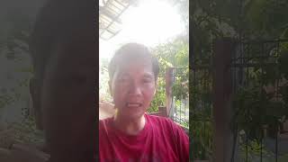 Begini Cara Pengecekan Status BANSOS atau DESIL