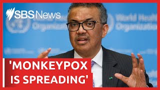 More than 1,000 cases of monkeypox recorded in non-endemic countries | SBS News