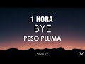 1 HORA Peso Pluma Bye Letra Lyrics mp3