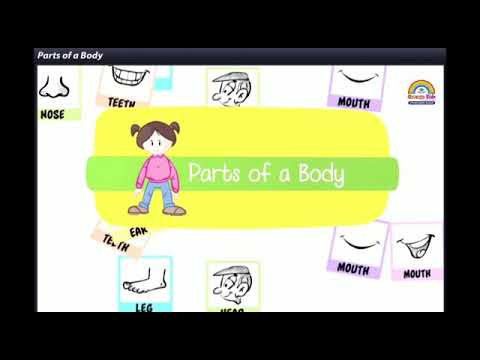 Parts of the body - YouTube