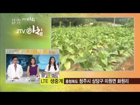 Lte생방송 청주 가뭄현장_20150612