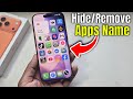 iPhone 17/17 Pro/Max: How to remove/Hide apps name iphone?