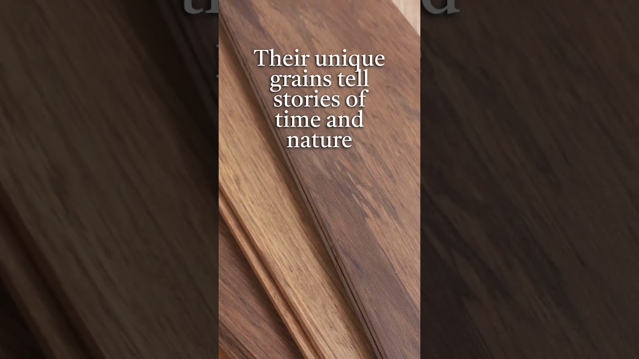 Discover the hidden treasures of Aotearoa New zrealands native woods.