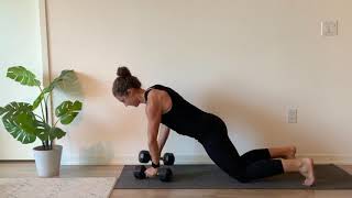 Modified Plank with Alternating Row