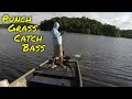 BEST TIMES To PUNCH GRASS For BASS