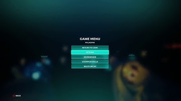 WHAT THE CRAP?! - PALADINS BLACK SCREEN GLITCH