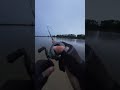 Những con cá bị lừa #cauca #fishing