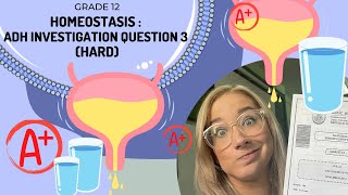 HOMEOSTASIS | ADH INVESTIGATION Q3 (HARD)