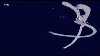 The Magic Store/Fremantle Media Enterprises (2012).