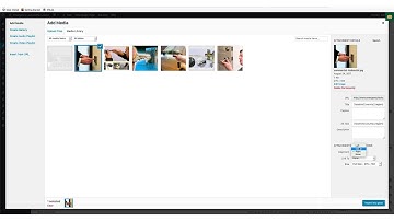 Magic Page Plugin - Building a PBN Site