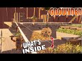 There's A BEEHIVE Under my Castle? What's Inside? - Grounded Gameplay and Commentary