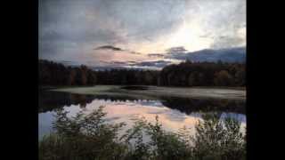 Video voorbeeld van "great blue heron call"