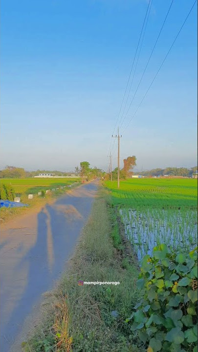 Story Pagi - Ponorogo