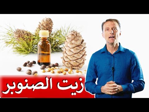 فيديو: أي نوع من شجرة الصنوبر له ثلاث إبر؟