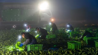 にほんの村　開拓スピリット脈々と　群馬県昭和村