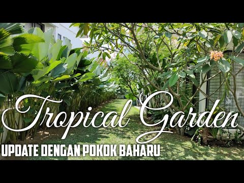 Video: Tumbuhan Taman Teduh Tropika: Petua Mencipta Taman Teduh Tropika