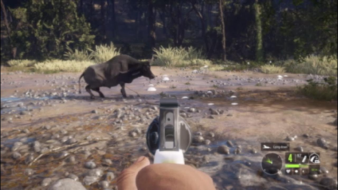 Albino water Buffalo COTW!! YouTube