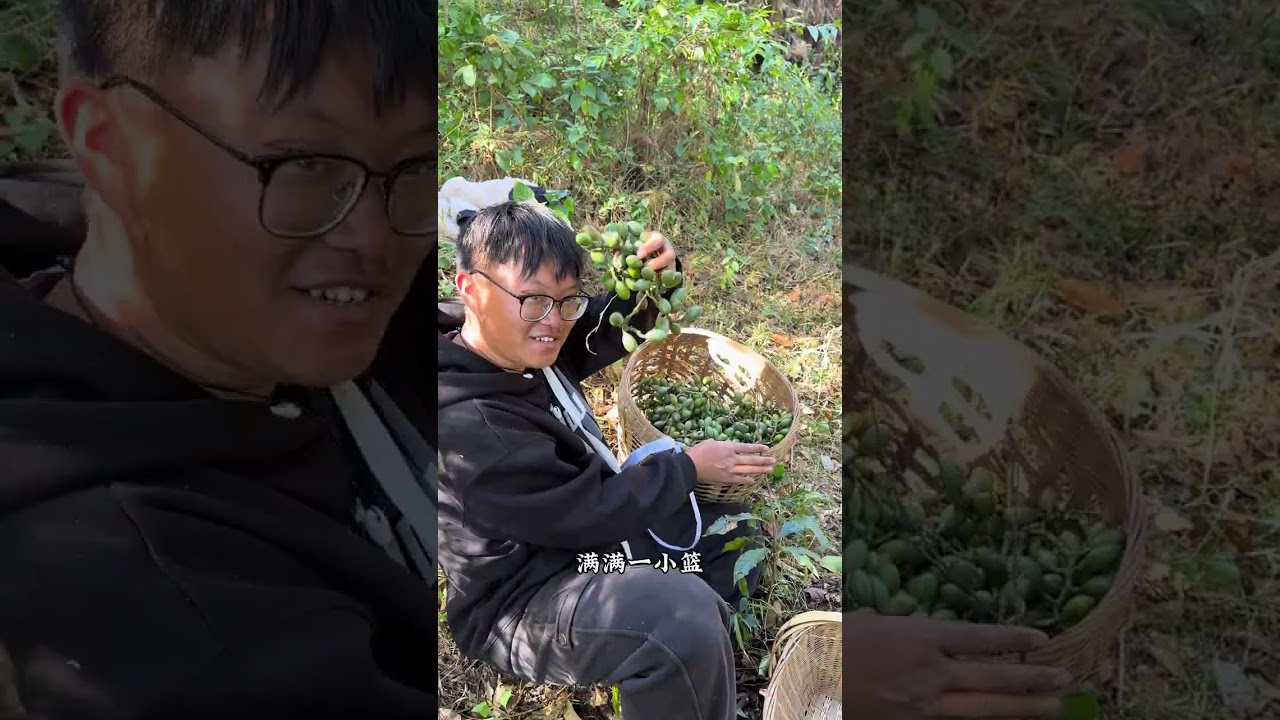 Discover the Delightful Shuizi Guo: A Unique Local Fruit Sensation