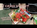 Открываем посевную Обзор семян земляники