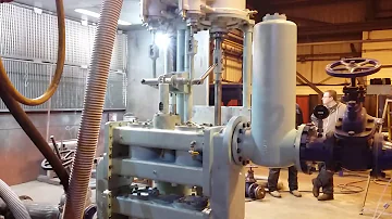 Vertical Duplex Steam Stripping Pump