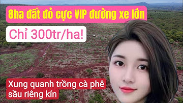 Bán 8ha đất đỏ trồng cà phê sầu riêng, bằng đẹp, suối, bất động sản đất rẫy Tây Nguyên