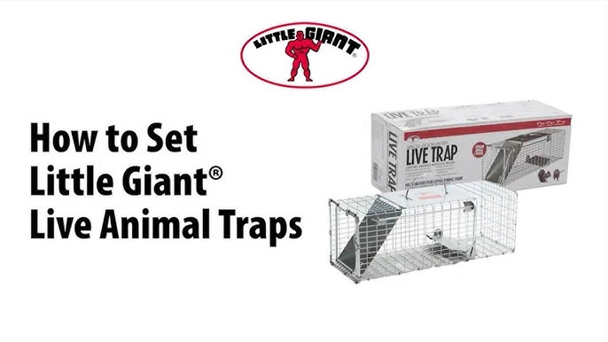 32 inch Medium Folding Live Trap, 914048