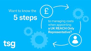 How To Manage Costs When Appointing A Uk Reach Only Representative