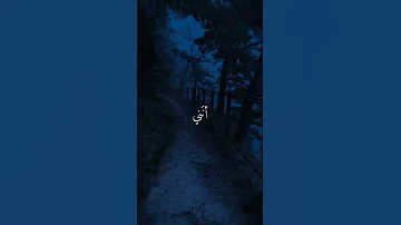 أرى أنني تائه في الطريق اكسبلور دويتو تصميمي لايك ترند انشودة 