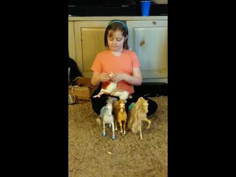 Ava's horse haul