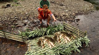 Girl Build Traps Catch Fish - Survival In Forest Bushcraft