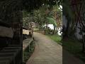 Sampaloc Lake Path Philippines