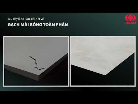 Taicera gach mai bong toan phan thuong hieu xuat khau năm 2021 - 2022