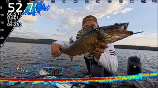 Complete Guide to Fishing Suspended Walleye (Lakes, Spots, Baits, Cadence, and More)