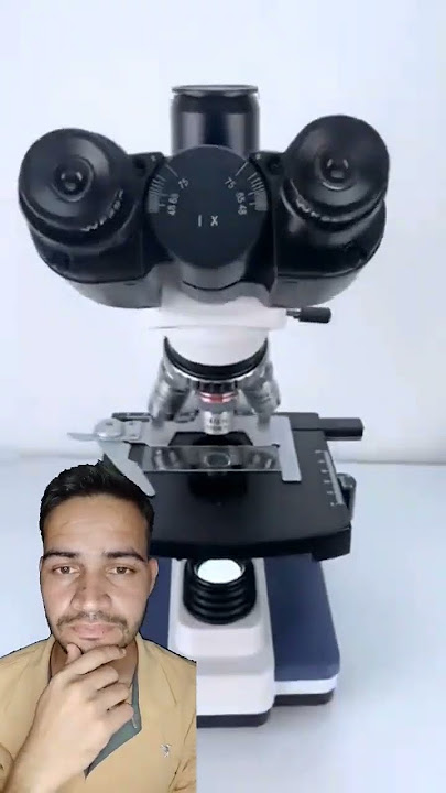 under Microscope DMLT