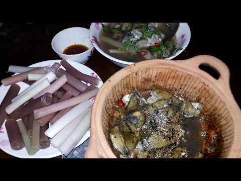 Video Đặt Bẫy Lú Bắt Cá Sặc Kho Tộ và Canh Chua Bông Súng - youtube