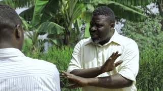 PAPA SAVA EP115:NTIBISANZWE by NIYITEGEKA Gratien (Rwandan Comedy)