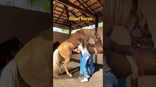 good horse sperm #short