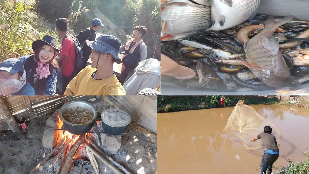 Naga Fish NAGA TRADITIONAL WAY OF CATCHING LOCAL ORGANIC FISH FROM THE STREAM ...