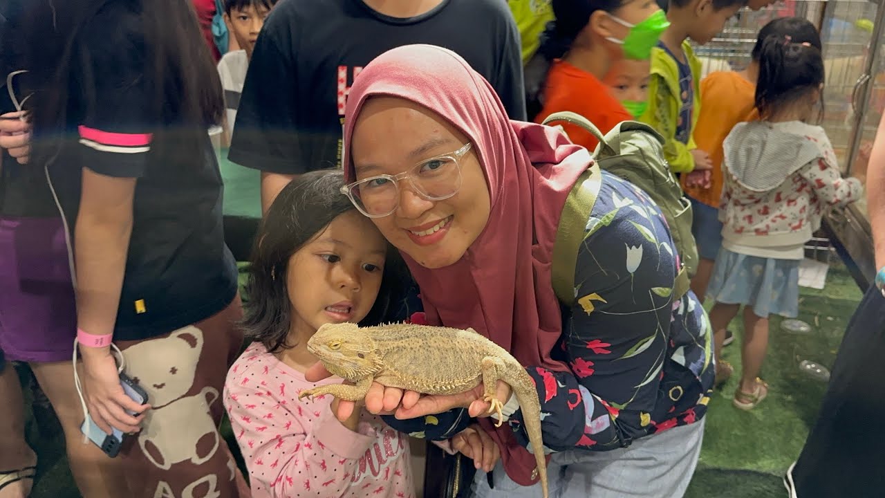 Pet Kingdom Expo 2023 SICC KOTA KINABALU YouTube