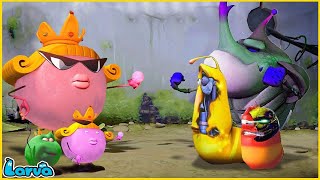 LARVA |ALIEN | CARTOON MOVIE FOR LIFE |THE BEST OF CARTOON | HILARIOUS CARTOON COMPILATION