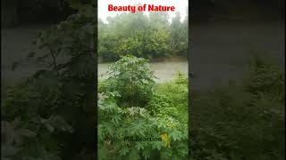 Natural Beauty || God gifted nature || MB Reaction || نیچرل بیوٹی ||بیوٹی آف نیچر 2022