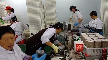 Mushroom solid spawn inoculation machine