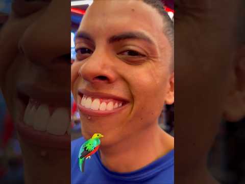 Ele parece aqueles passarinho importado