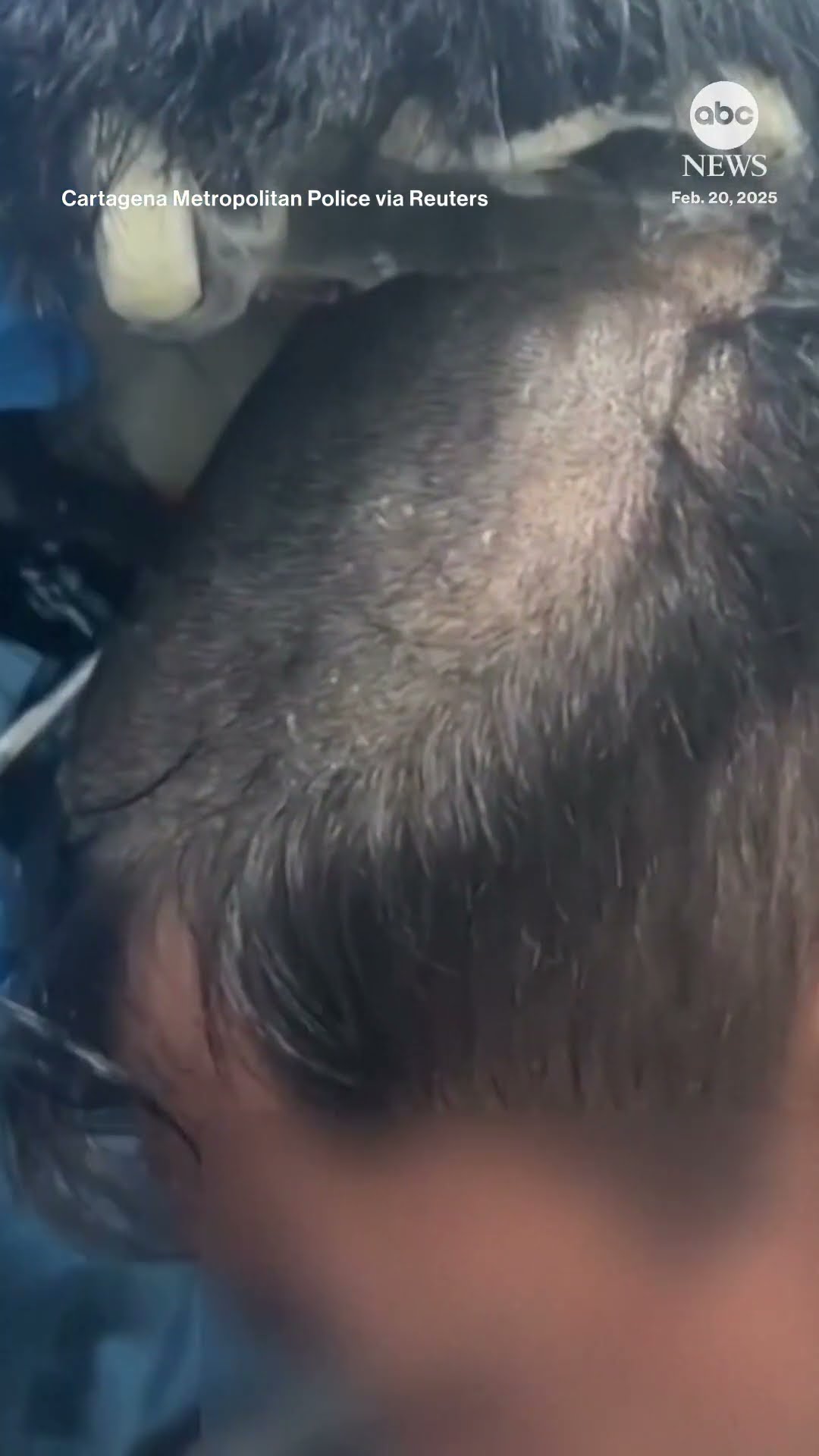 Suspect caught smuggling cocaine under toupee, police say