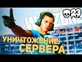 ГОЛДОВАЯ M4A1 В ДЕЛЕ! / CALL OF DUTY WARZONE / COD MW 2019